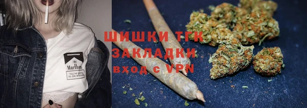 гашик Нея